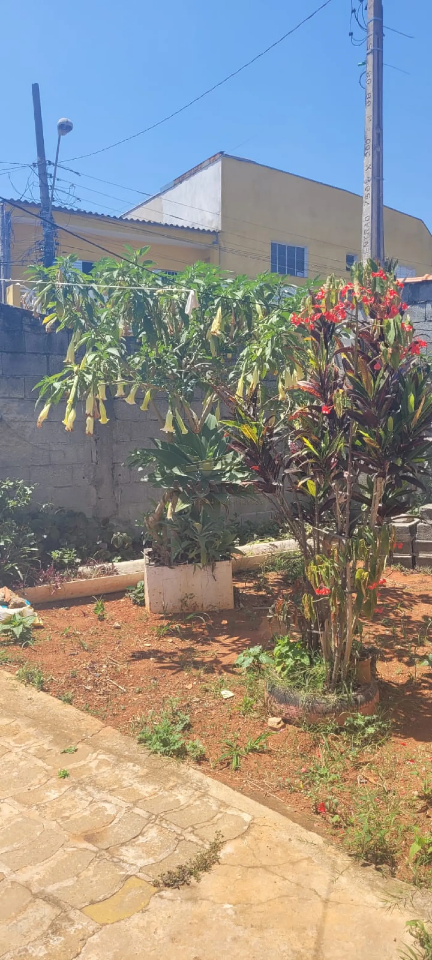 Comprar Casas / T&eacute;rrea em Suzano R$ 300.000,00 - Foto 7