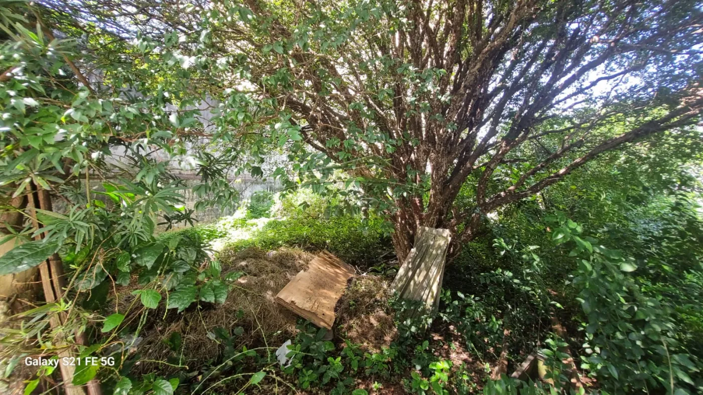 Alugar Casas / T&eacute;rrea em Suzano R$ 15.000,00 - Foto 40