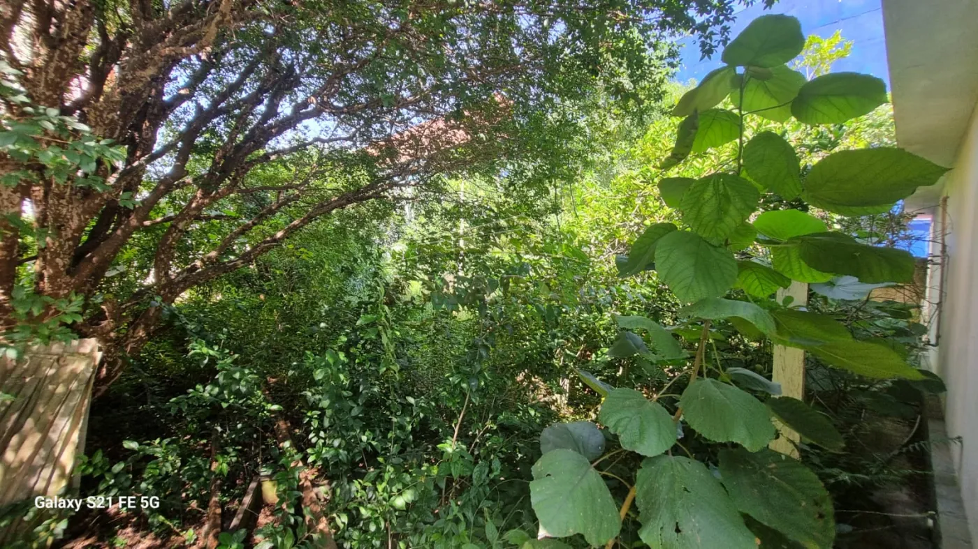 Alugar Casas / T&eacute;rrea em Suzano R$ 15.000,00 - Foto 41