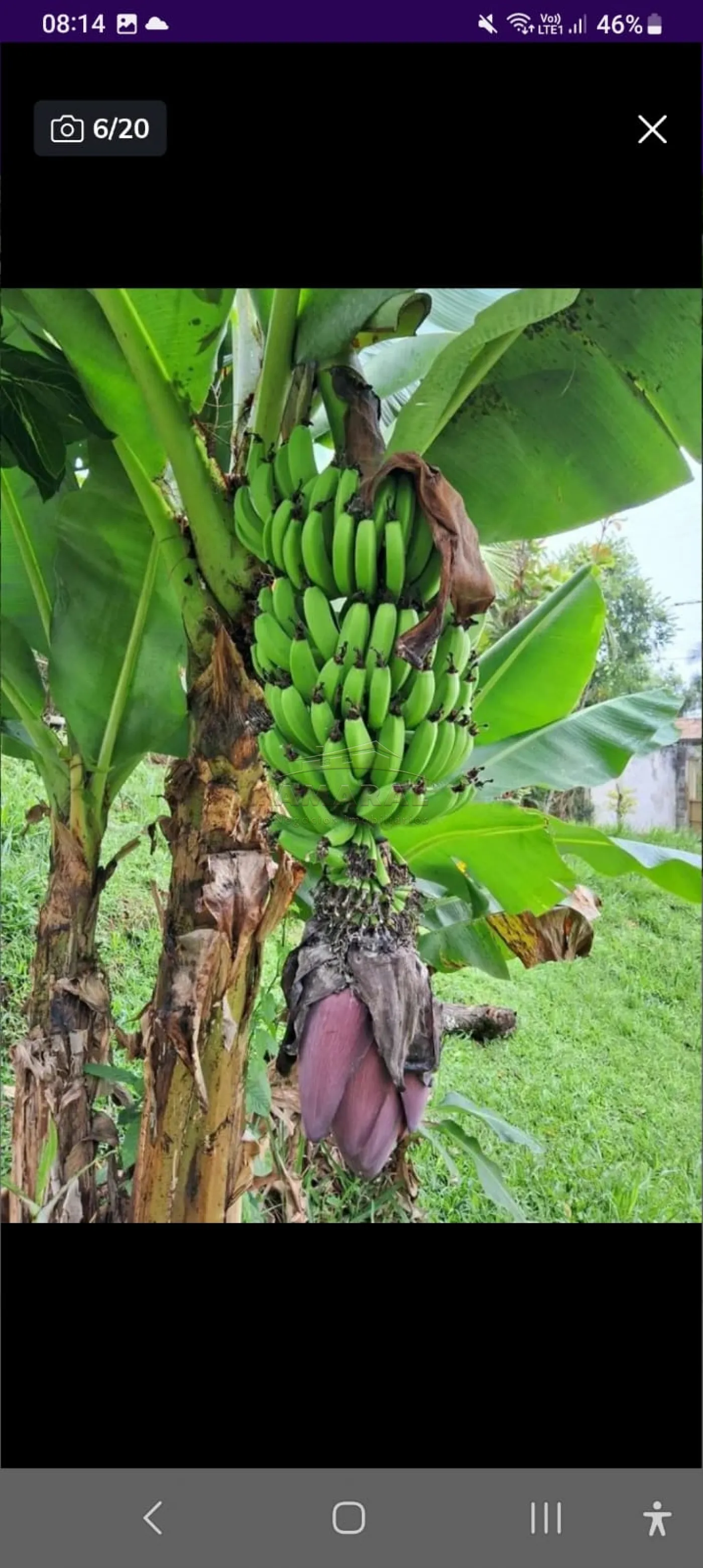 Comprar Rurais / Ch&aacute;cara em Suzano R$ 380.000,00 - Foto 7