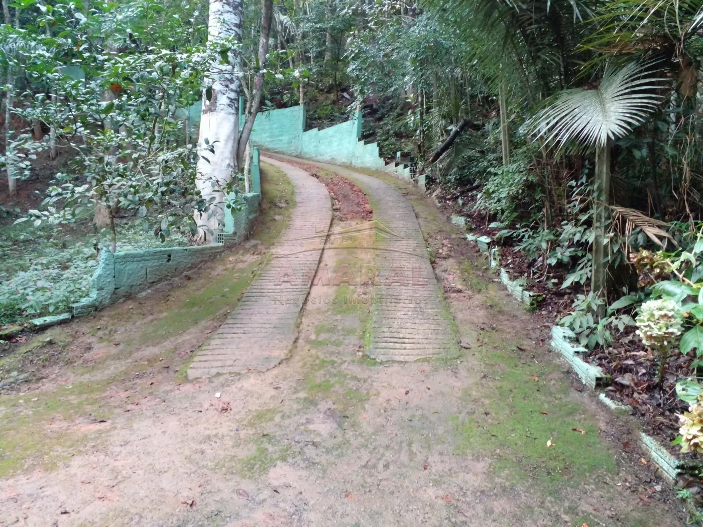 Comprar Rurais / Ch&aacute;cara em Biritiba Mirim R$ 285.000,00 - Foto 8