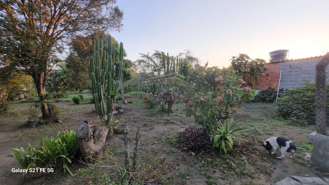 Comprar Rurais / Ch&aacute;cara em Suzano R$ 700.000,00 - Foto 36