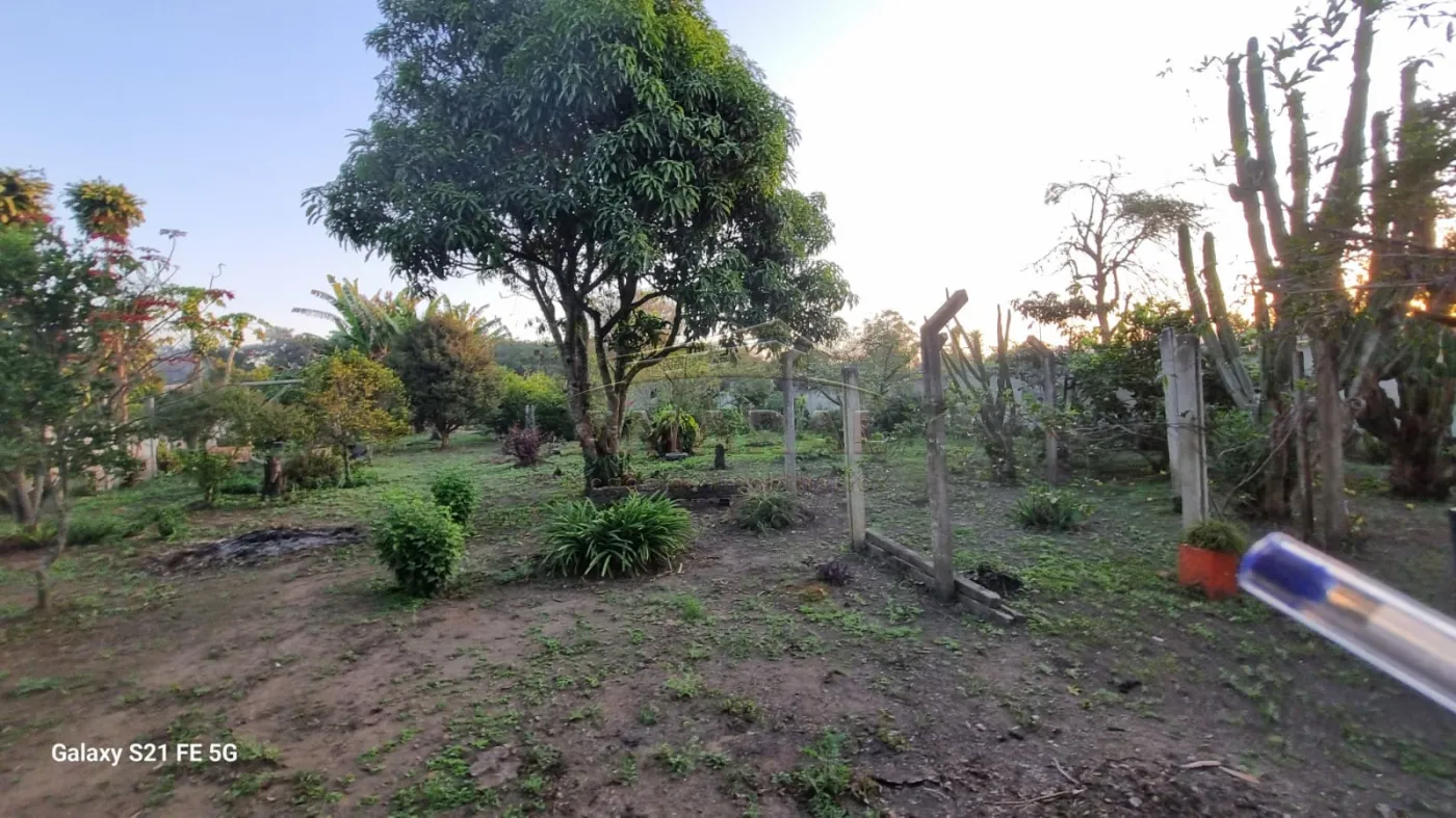 Comprar Rurais / Ch&aacute;cara em Suzano R$ 700.000,00 - Foto 37