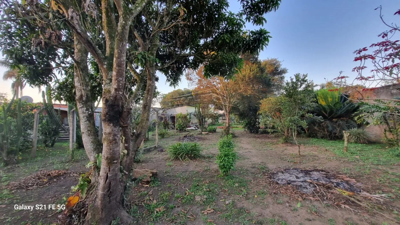 Comprar Rurais / Ch&aacute;cara em Suzano R$ 700.000,00 - Foto 39