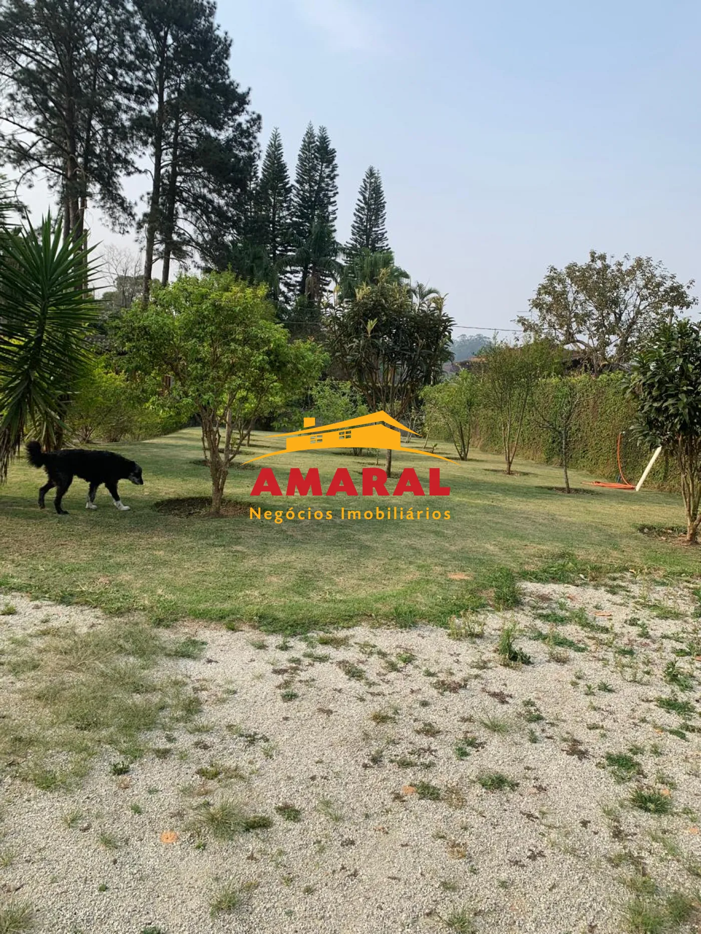 Comprar Casas / Chacara - &aacute;rea Urbana em Suzano R$ 800.000,00 - Foto 2