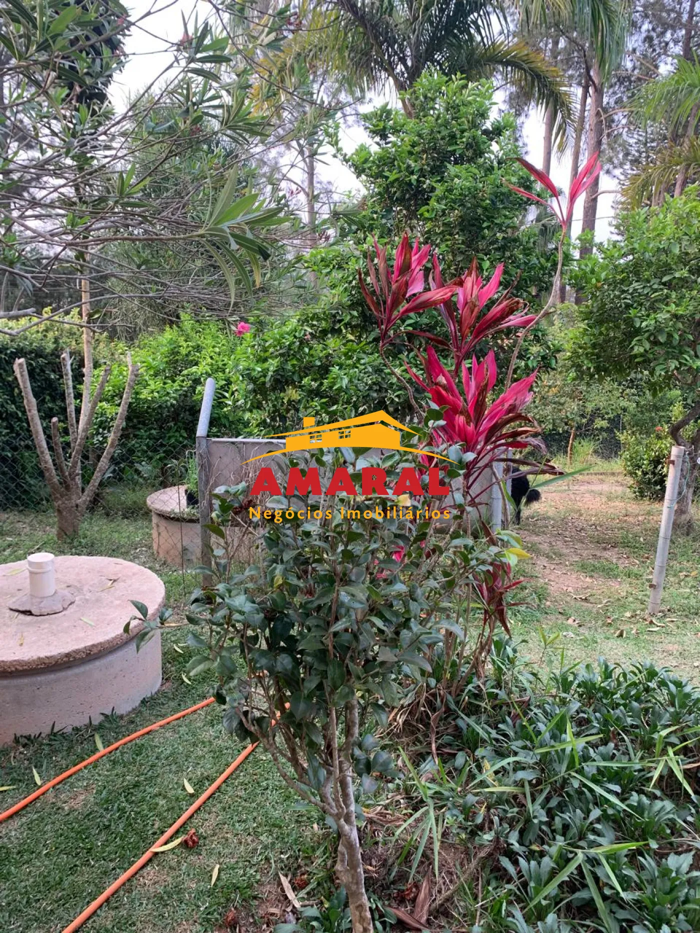 Comprar Casas / Chacara - &aacute;rea Urbana em Suzano R$ 800.000,00 - Foto 6