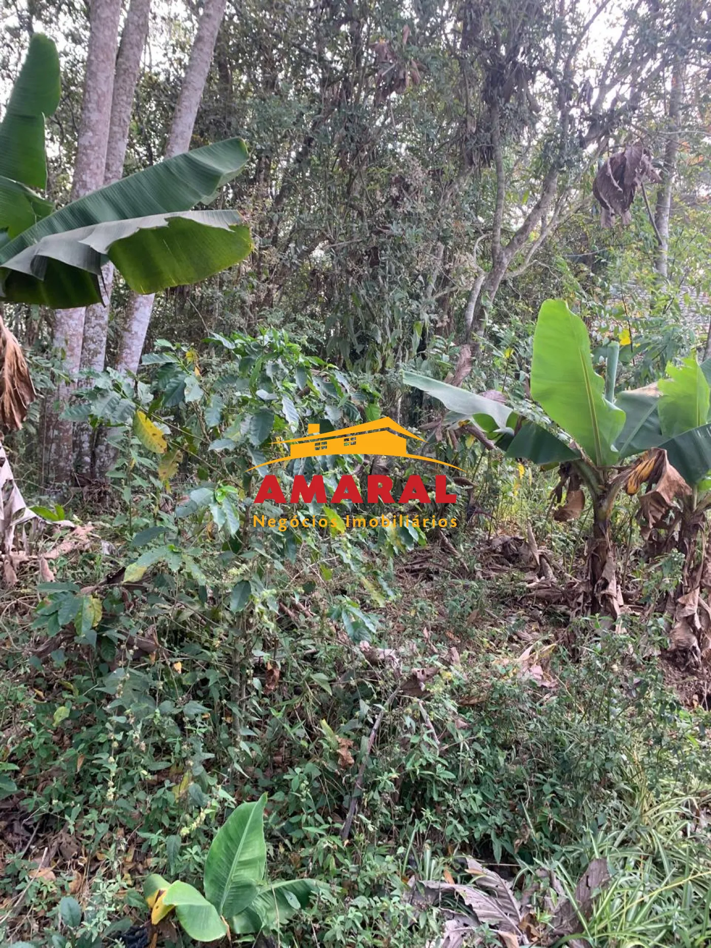 Comprar Casas / Chacara - &aacute;rea Urbana em Suzano R$ 800.000,00 - Foto 39