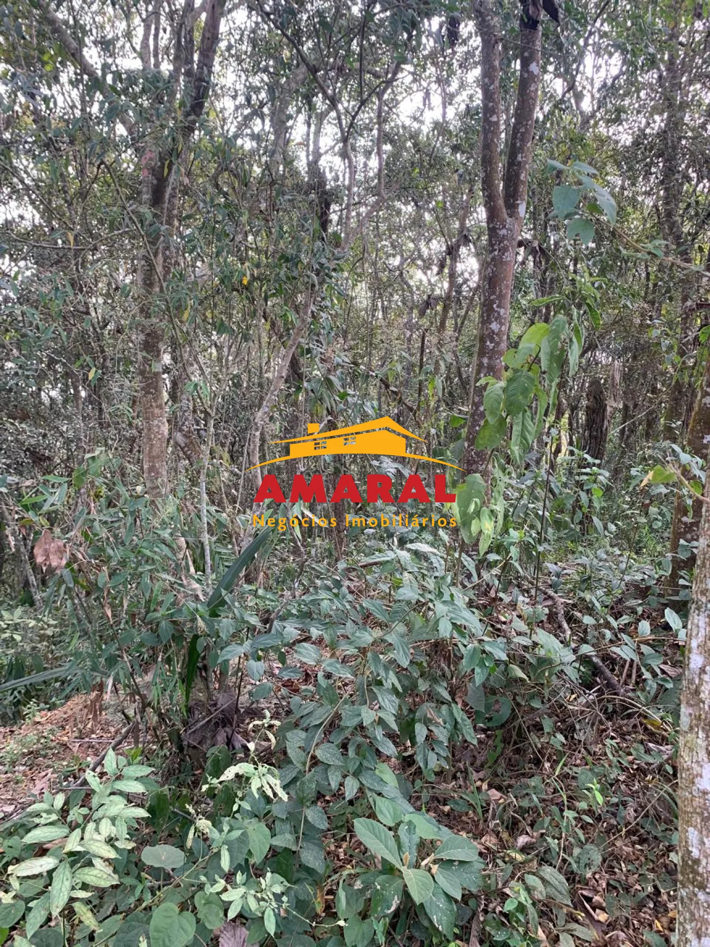 Comprar Casas / Chacara - &aacute;rea Urbana em Suzano R$ 800.000,00 - Foto 40