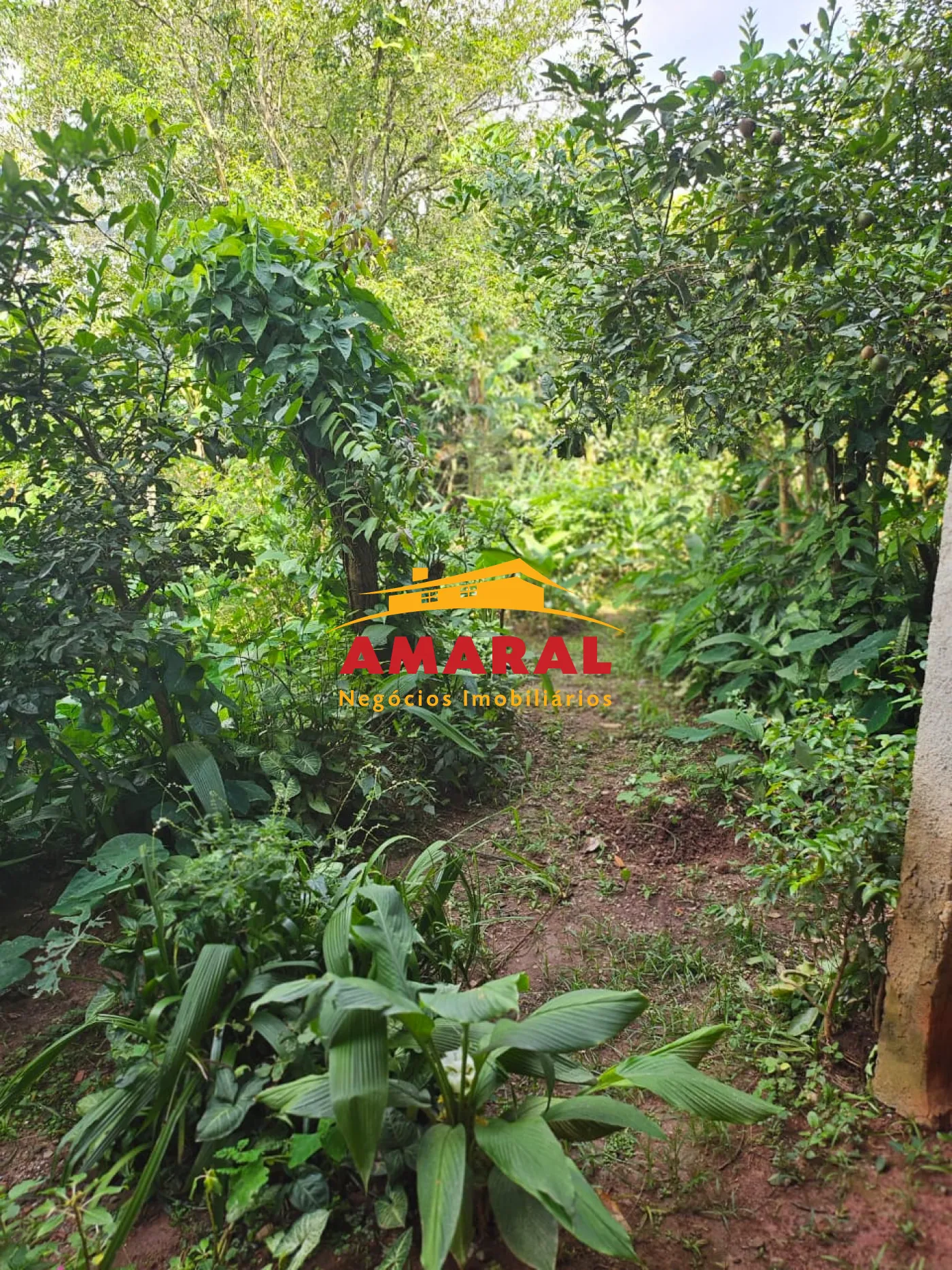 Comprar Casas / T&eacute;rrea em Suzano R$ 850.000,00 - Foto 27