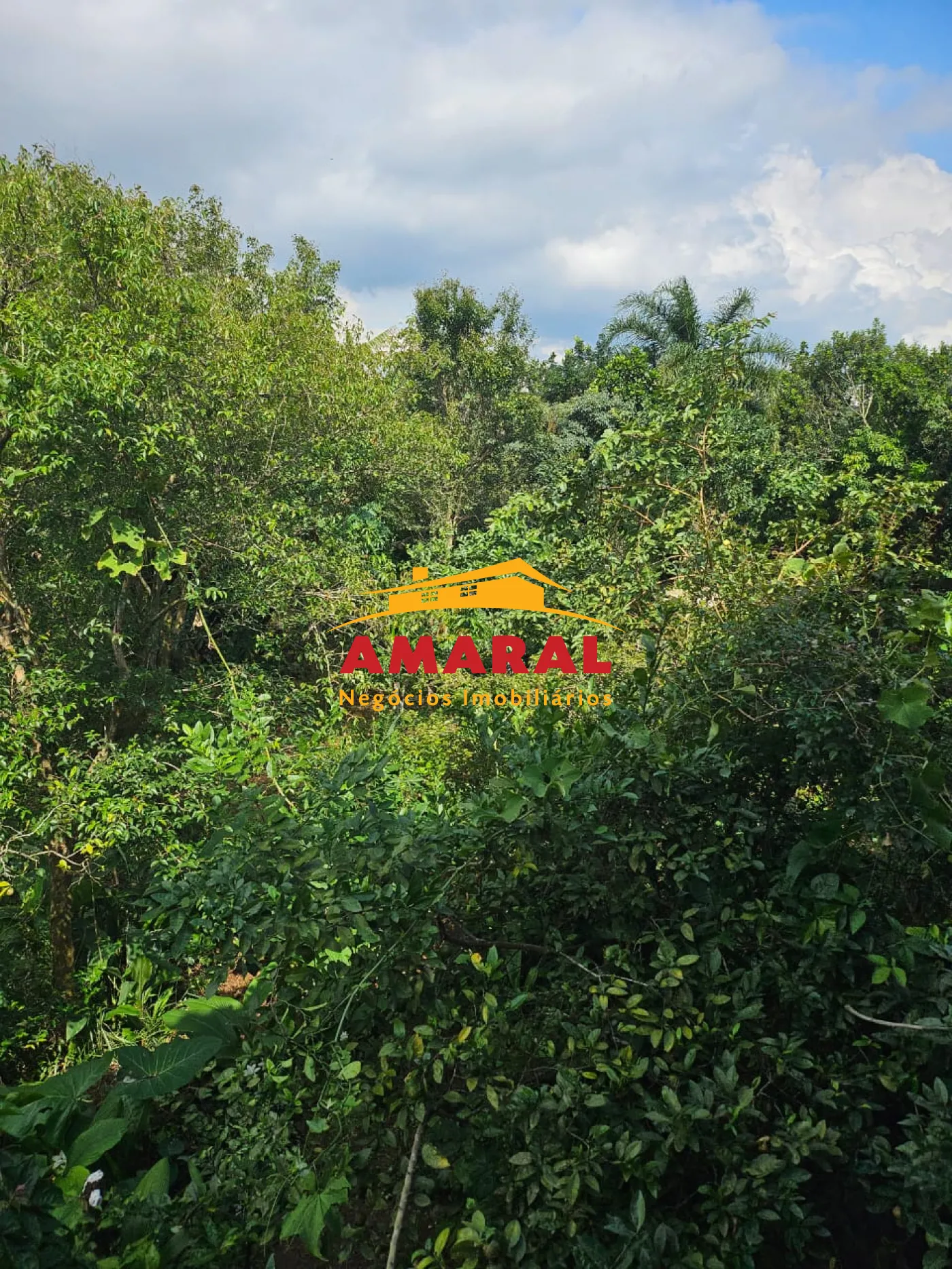 Comprar Casas / T&eacute;rrea em Suzano R$ 850.000,00 - Foto 24