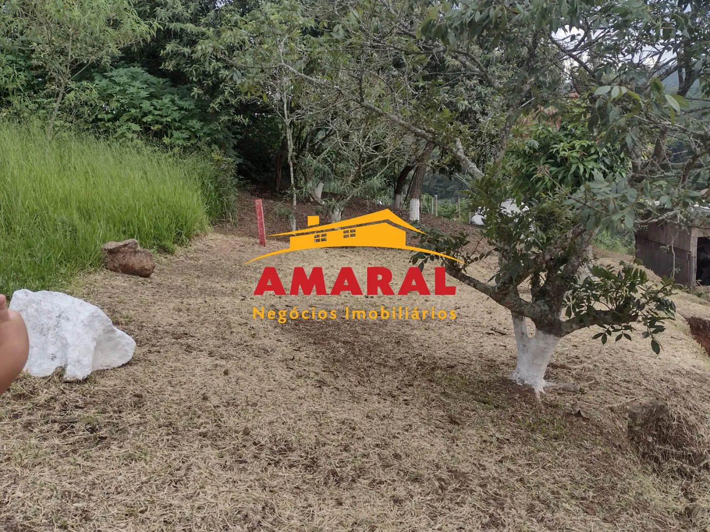 Comprar Rurais / Chácara em Suzano R$ 318.000,00 - Foto 24