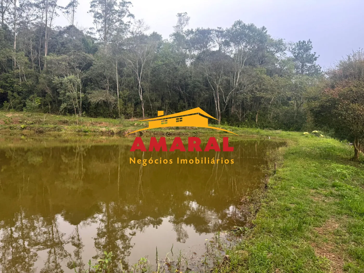Alugar Rurais / Fazenda em Suzano R$ 5.000,00 - Foto 6