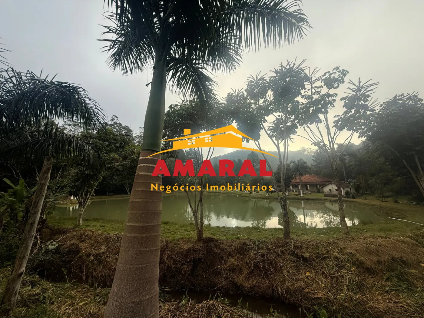 Alugar Rurais / Fazenda em Suzano R$ 5.000,00 - Foto 10