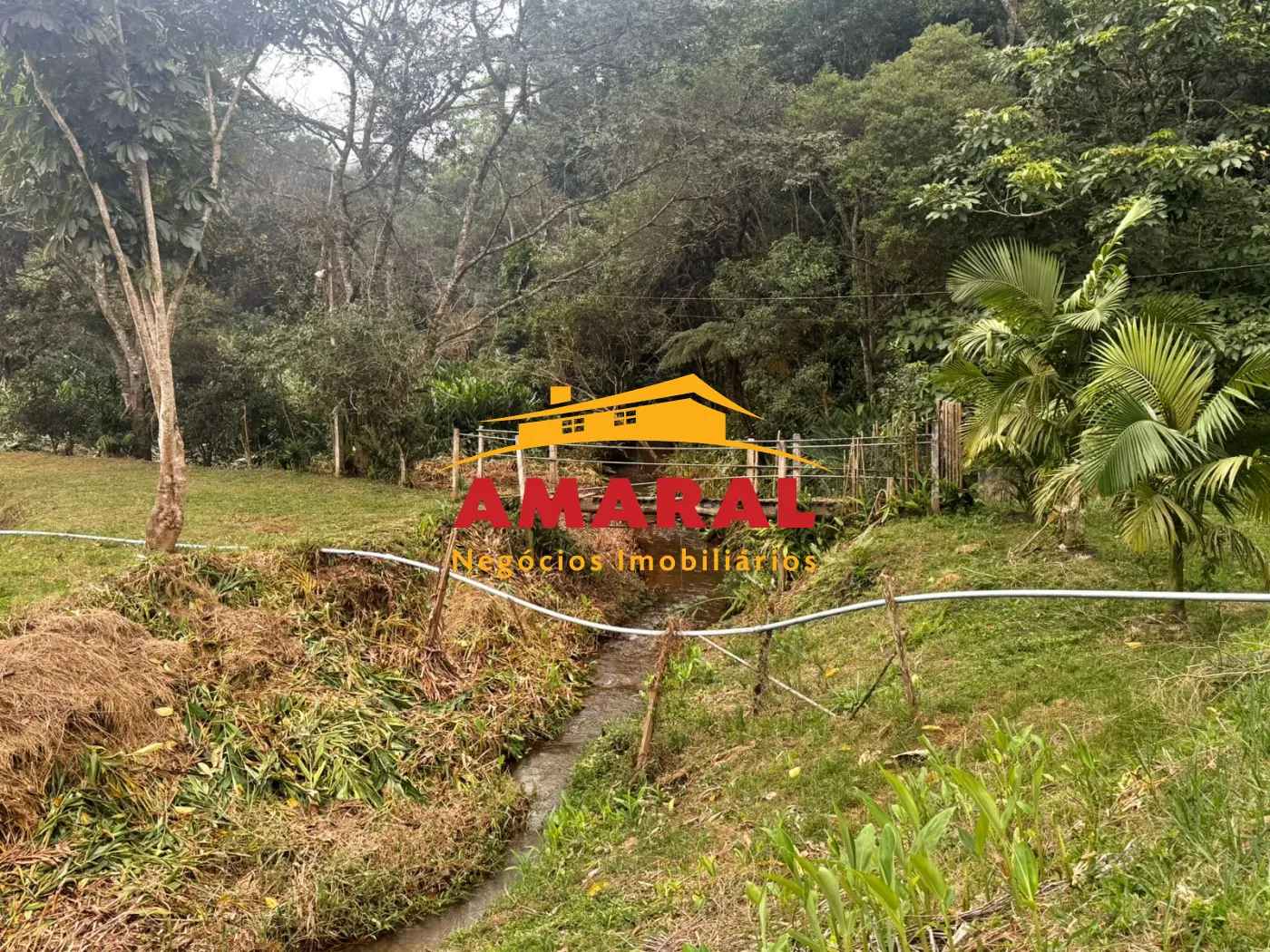 Alugar Rurais / Fazenda em Suzano R$ 5.000,00 - Foto 12