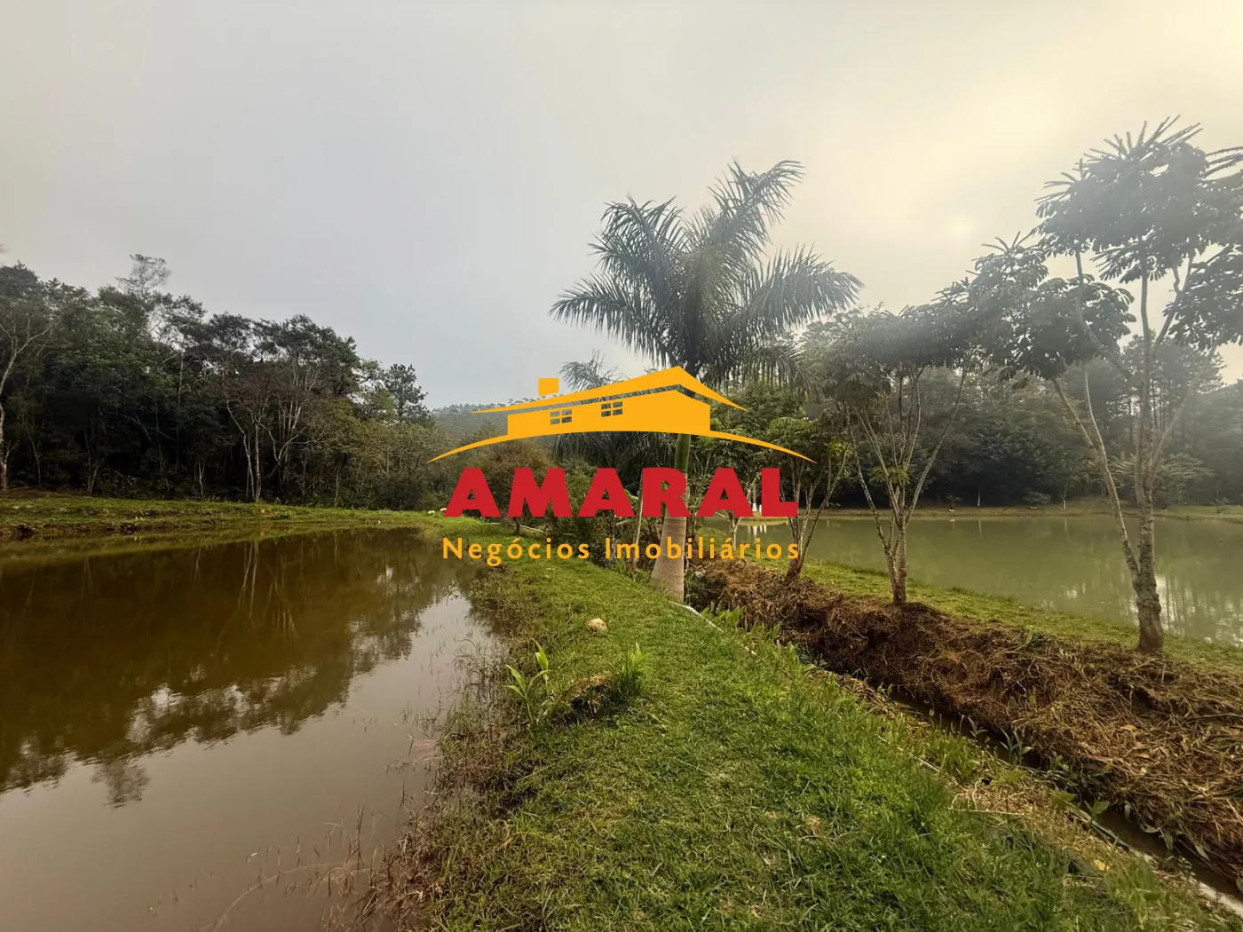 Alugar Rurais / Fazenda em Suzano R$ 5.000,00 - Foto 31