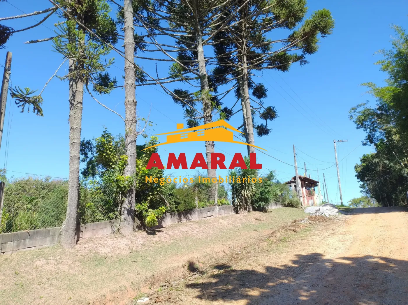 Comprar Rurais / Chácara em Biritiba-Mirim R$ 670.000,00 - Foto 9