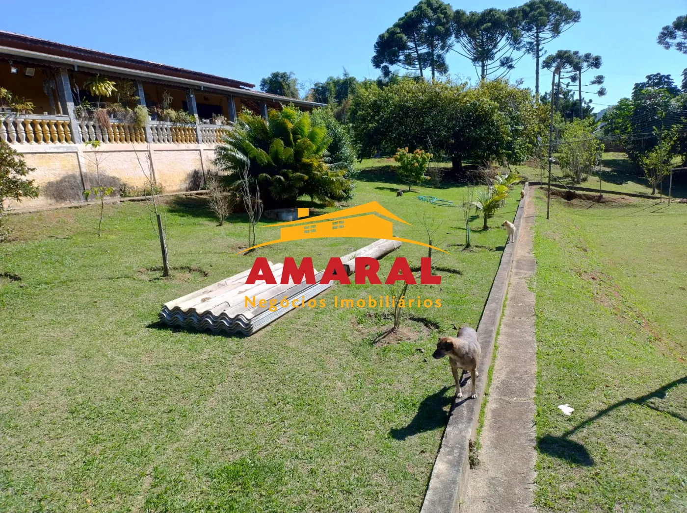 Comprar Rurais / Chácara em Biritiba-Mirim R$ 670.000,00 - Foto 6