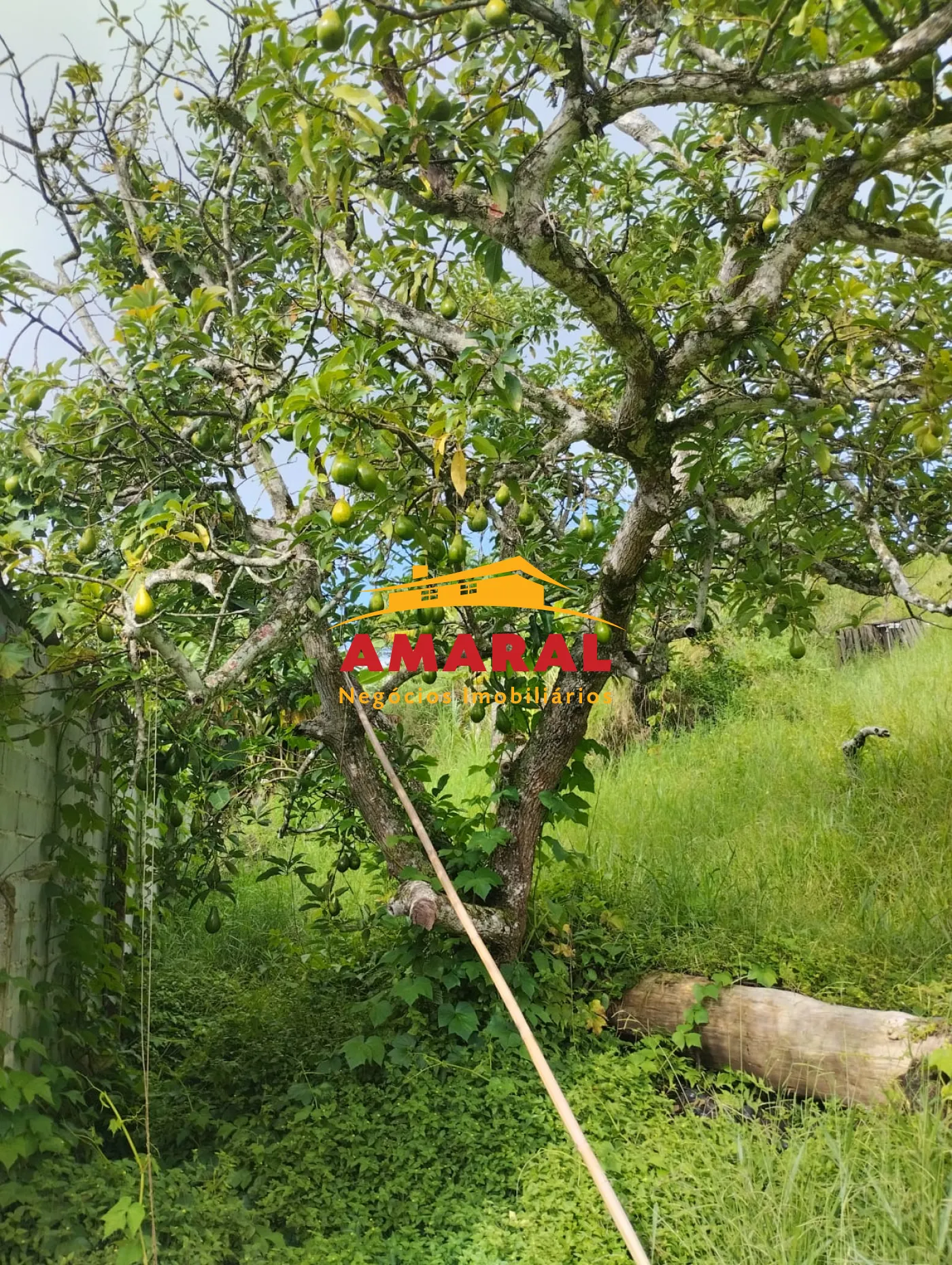 Comprar Terrenos / Terreno em Suzano R$ 150.000,00 - Foto 4