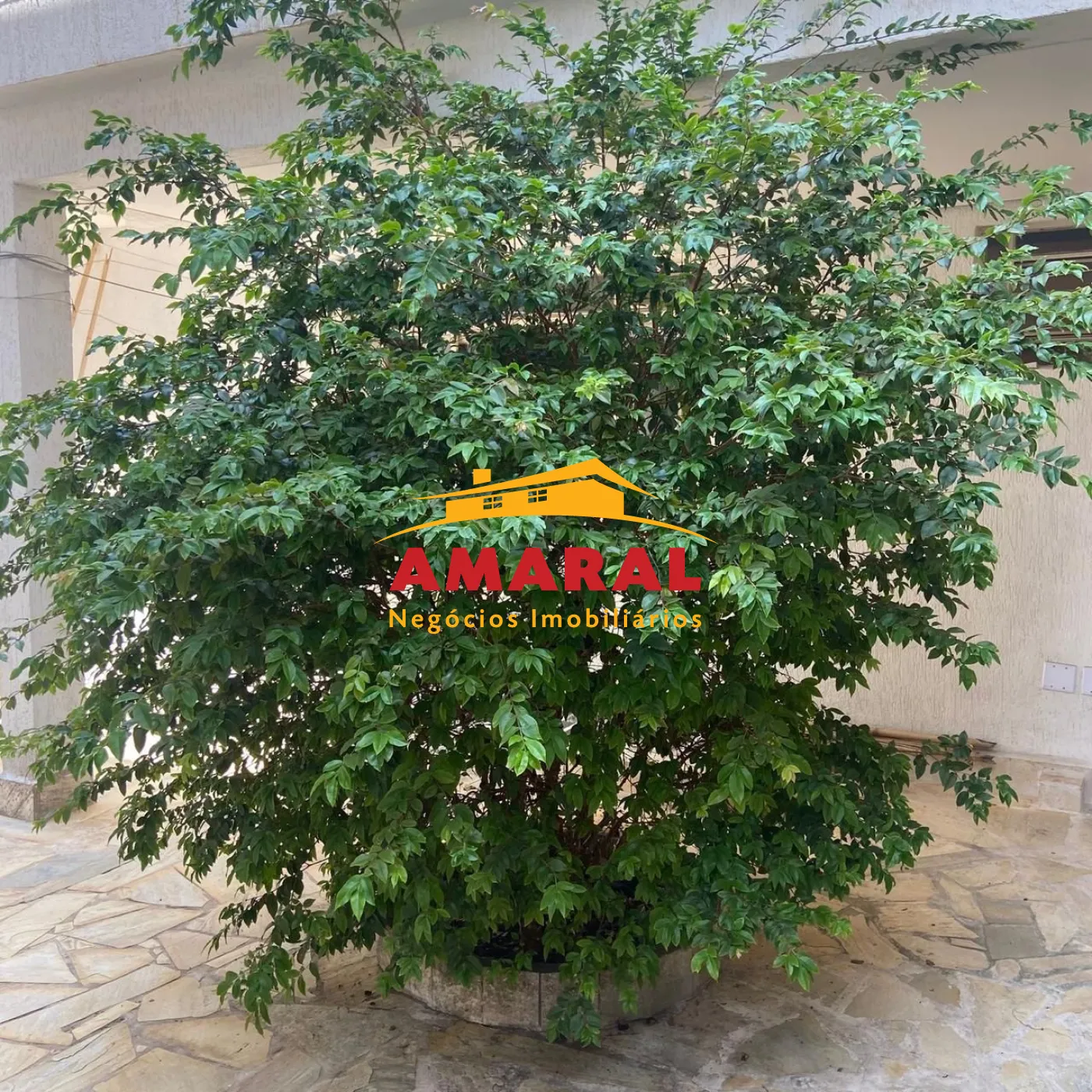 Comprar Casas / Condom&iacute;nio em Suzano R$ 1.700.000,00 - Foto 33