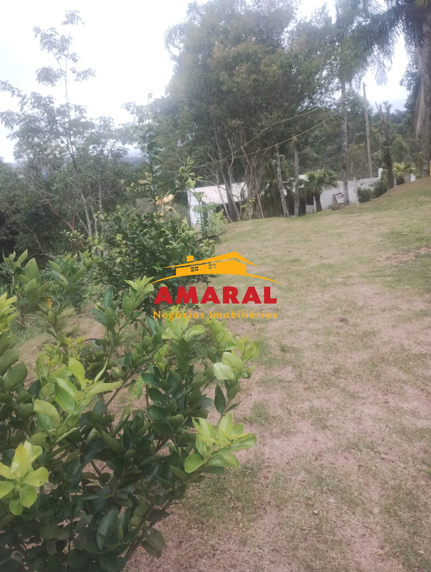 Comprar Rurais / Sítio em Mogi das Cruzes R$ 700.000,00 - Foto 4