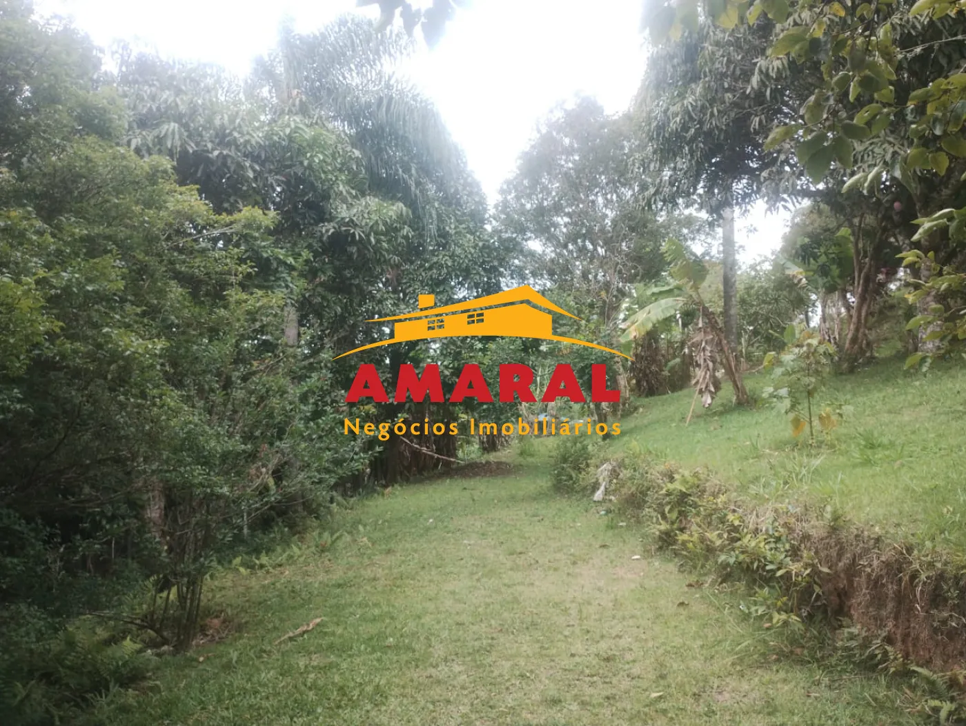 Comprar Rurais / Sítio em Mogi das Cruzes R$ 700.000,00 - Foto 6