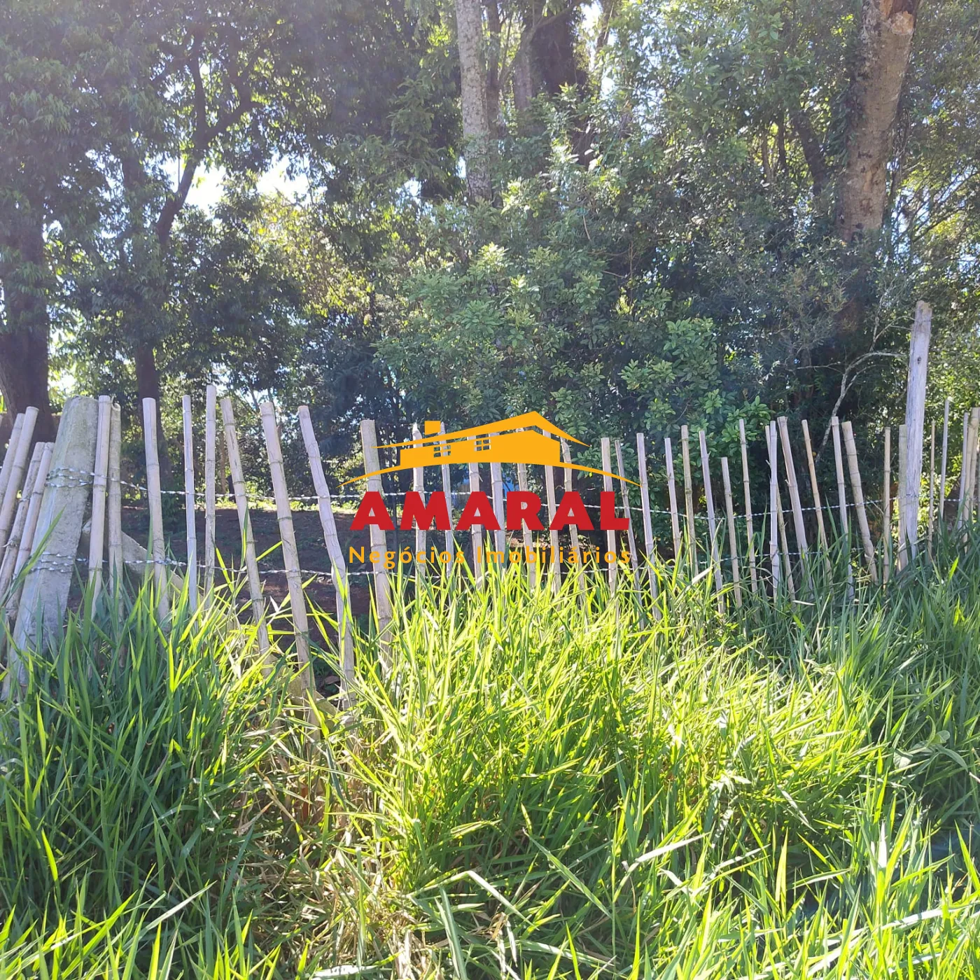 Comprar Rurais / S&iacute;tio em Suzano R$ 1.730.000,00 - Foto 7