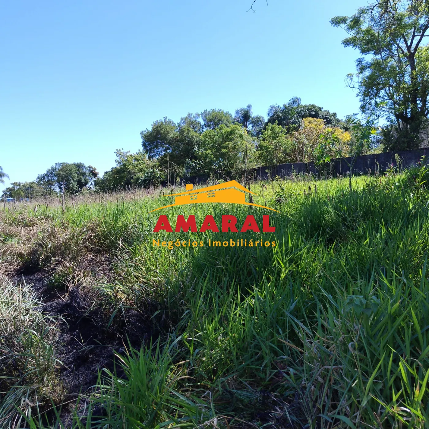 Comprar Rurais / S&iacute;tio em Suzano R$ 1.730.000,00 - Foto 11