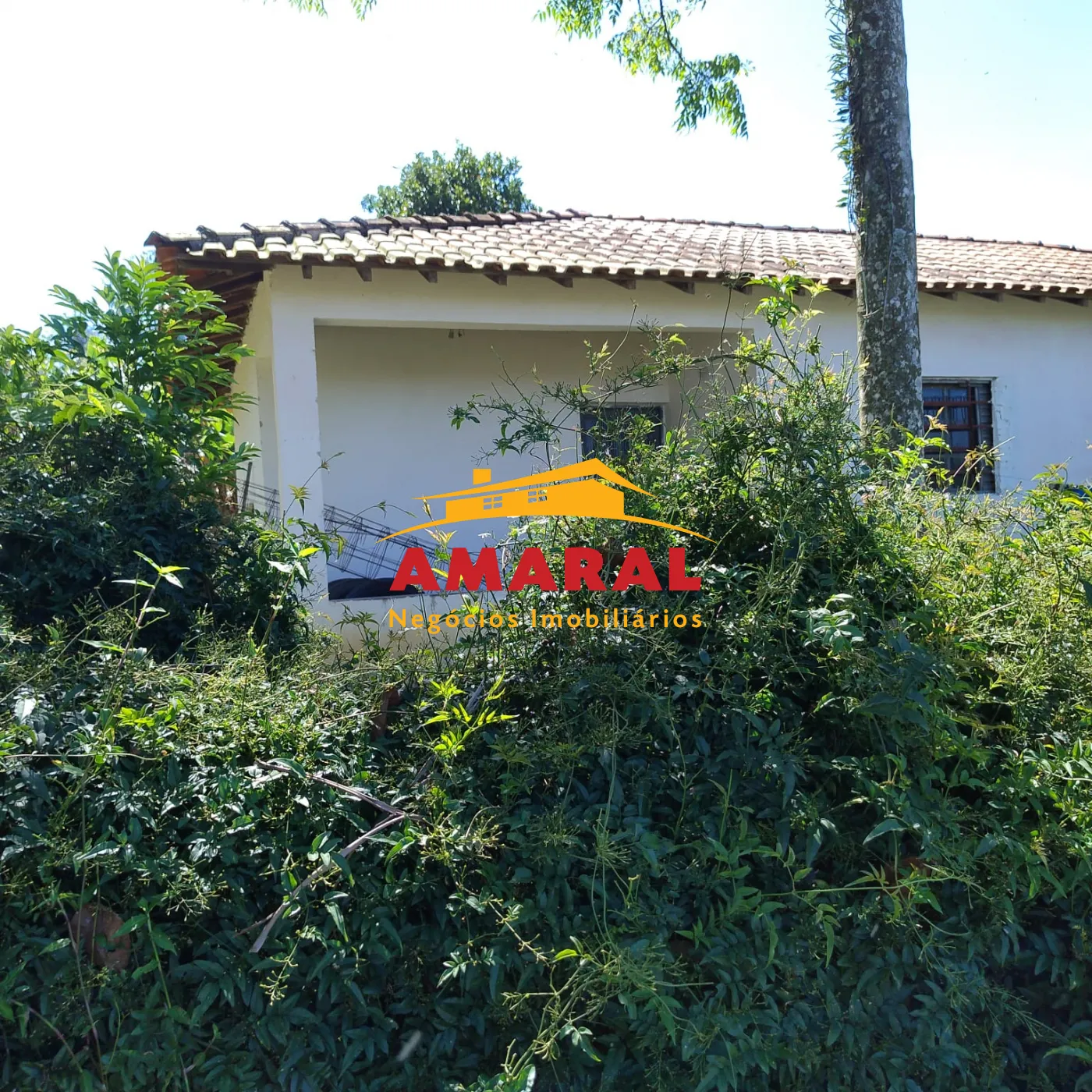 Comprar Rurais / S&iacute;tio em Suzano R$ 1.730.000,00 - Foto 16