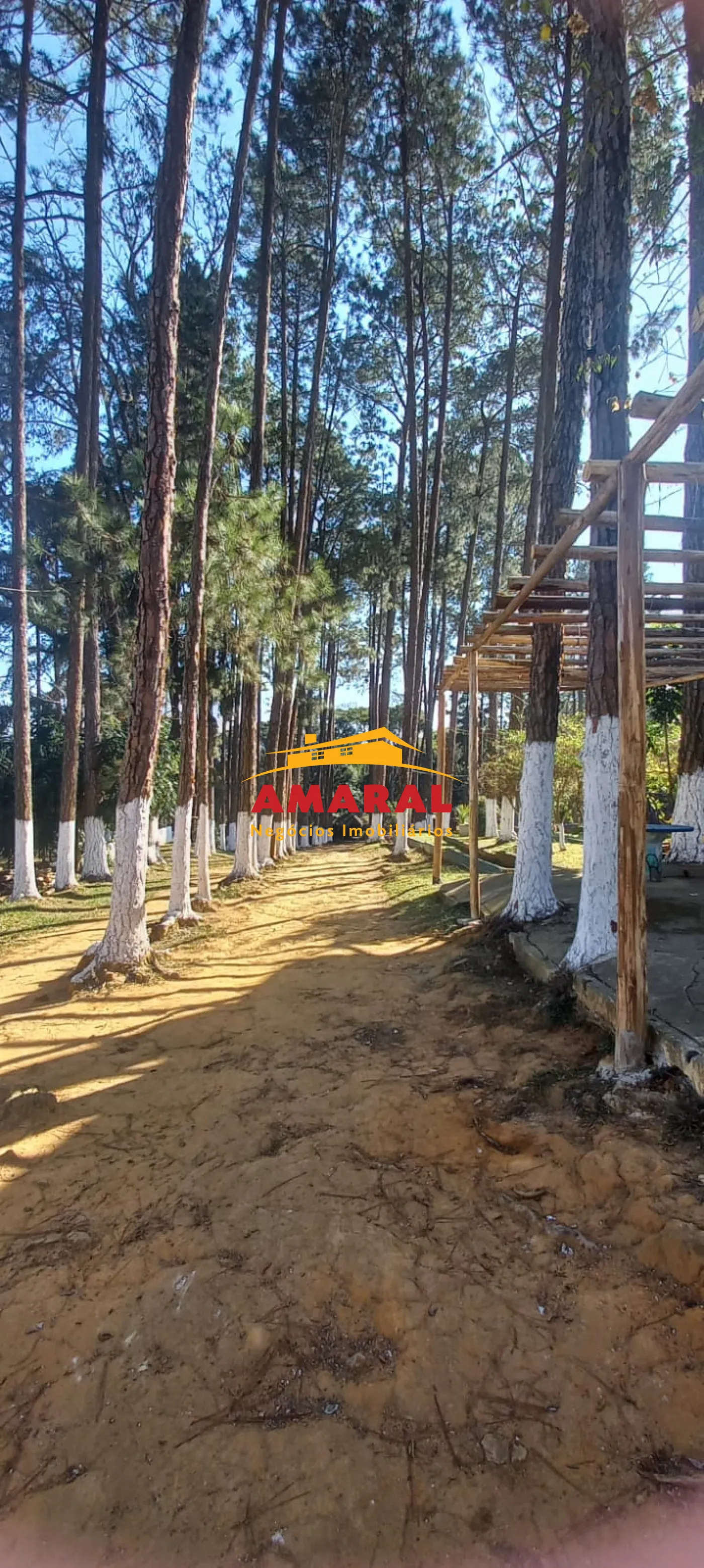 Alugar Rurais / S&iacute;tio em Suzano R$ 30.000,00 - Foto 14