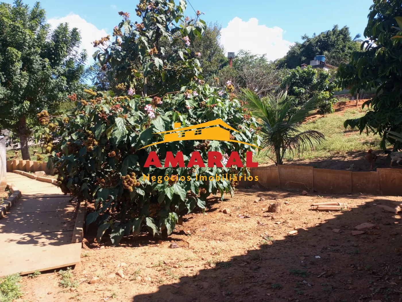 Comprar Rurais / Ch&aacute;cara em Suzano R$ 800.000,00 - Foto 16