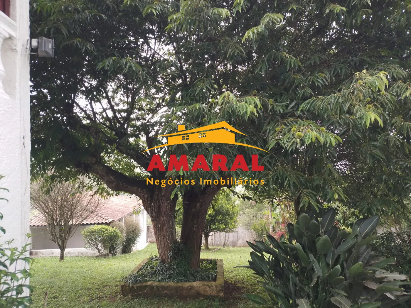 Alugar Rurais / Ch&aacute;cara em Suzano R$ 2.000,00 - Foto 3