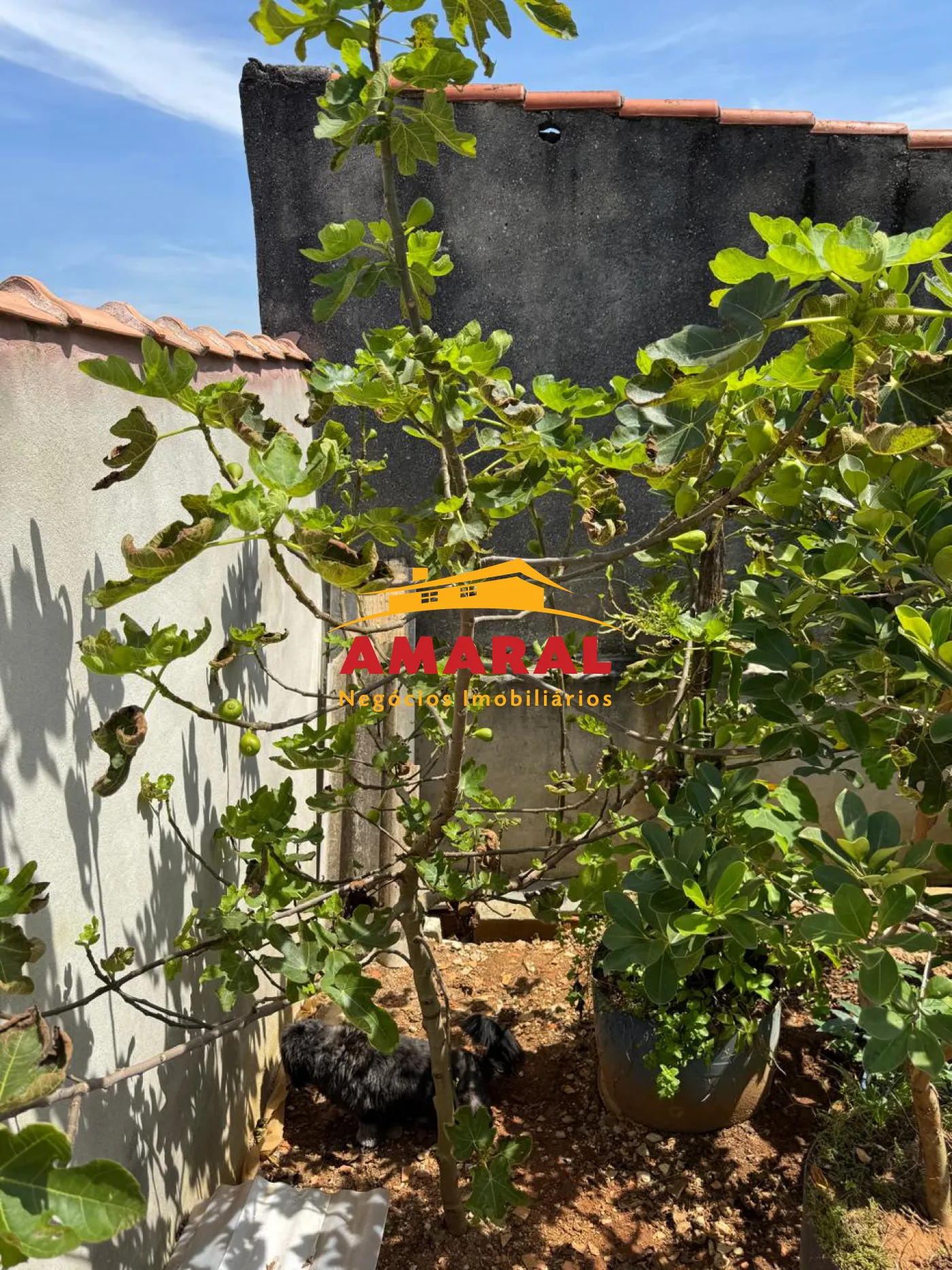 Comprar Casas / T&eacute;rrea em Suzano R$ 540.000,00 - Foto 8