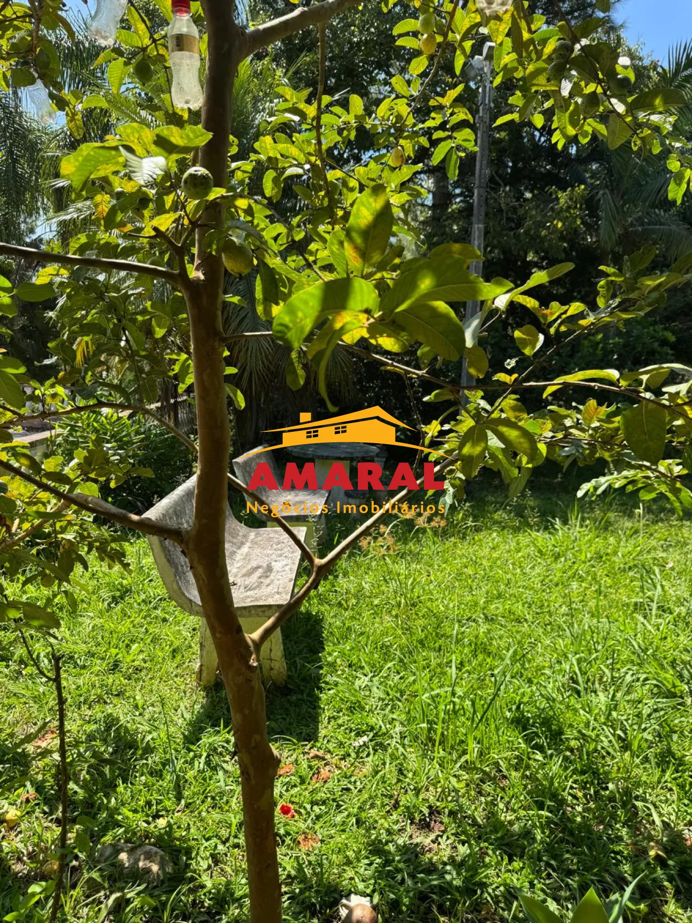 Comprar Rurais / Ch&aacute;cara em Suzano R$ 800.000,00 - Foto 15