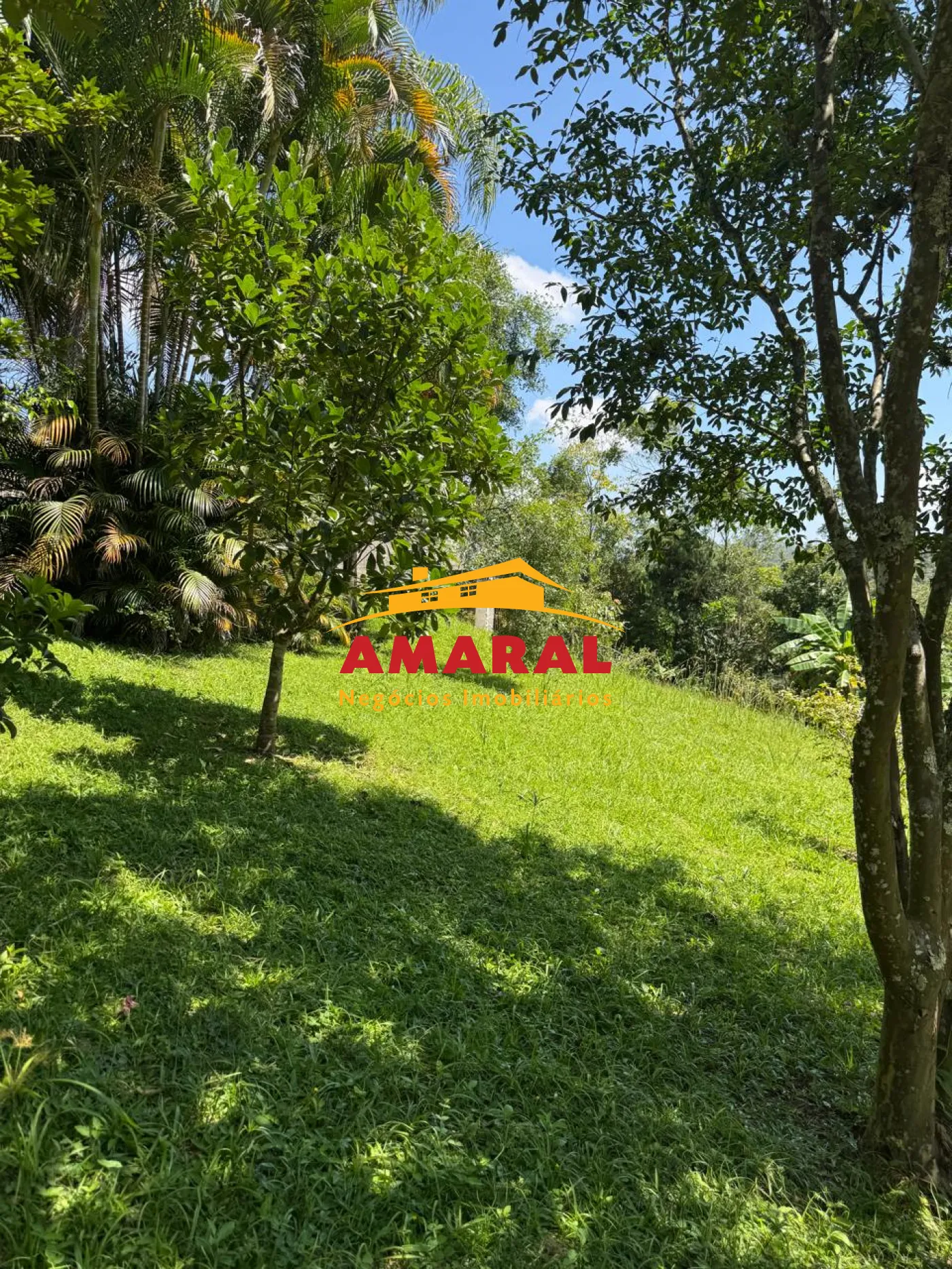 Comprar Rurais / Ch&aacute;cara em Suzano R$ 800.000,00 - Foto 29