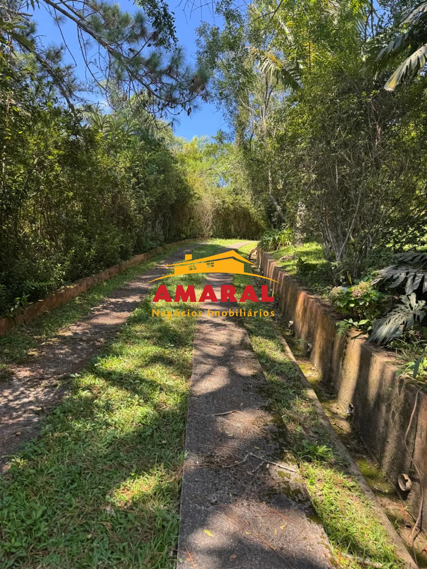 Comprar Rurais / Ch&aacute;cara em Suzano R$ 800.000,00 - Foto 30