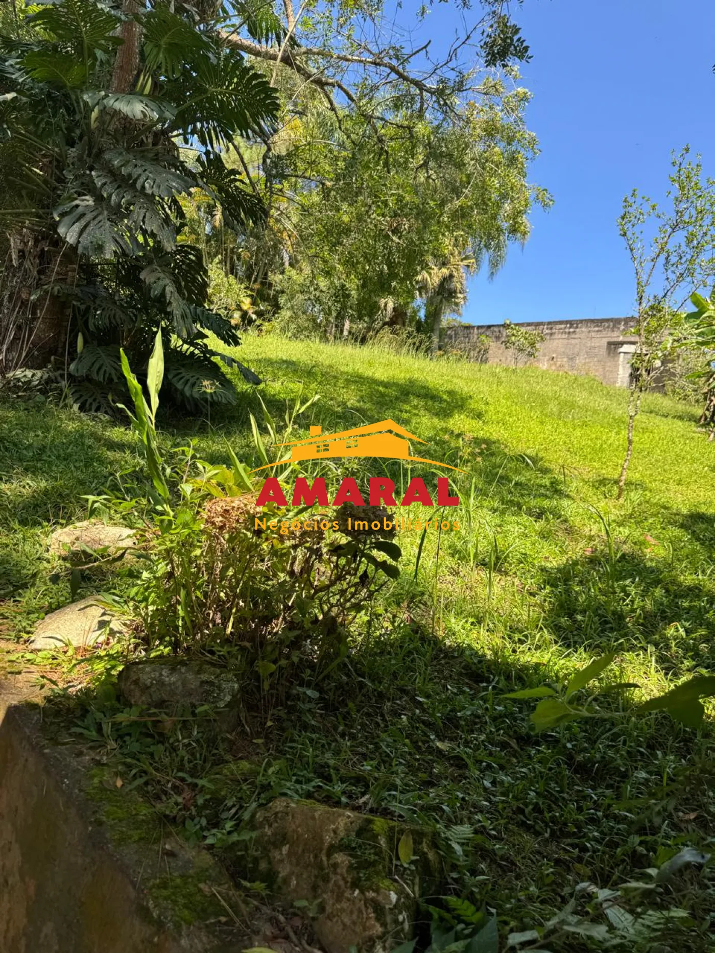Comprar Rurais / Ch&aacute;cara em Suzano R$ 800.000,00 - Foto 31