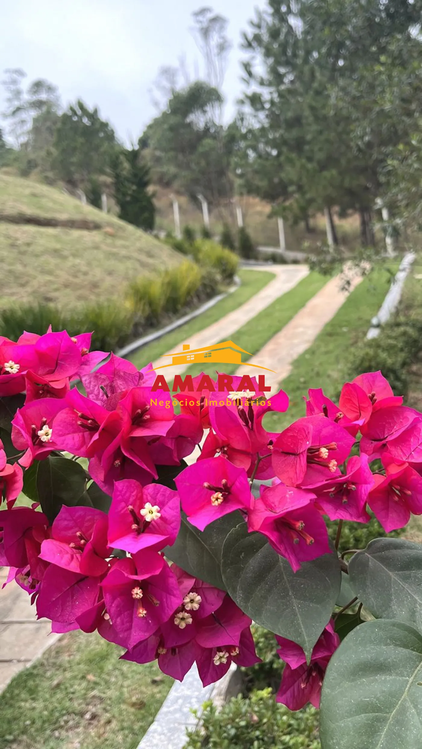 Comprar Rurais / Ch&aacute;cara em Suzano R$ 750.000,00 - Foto 5