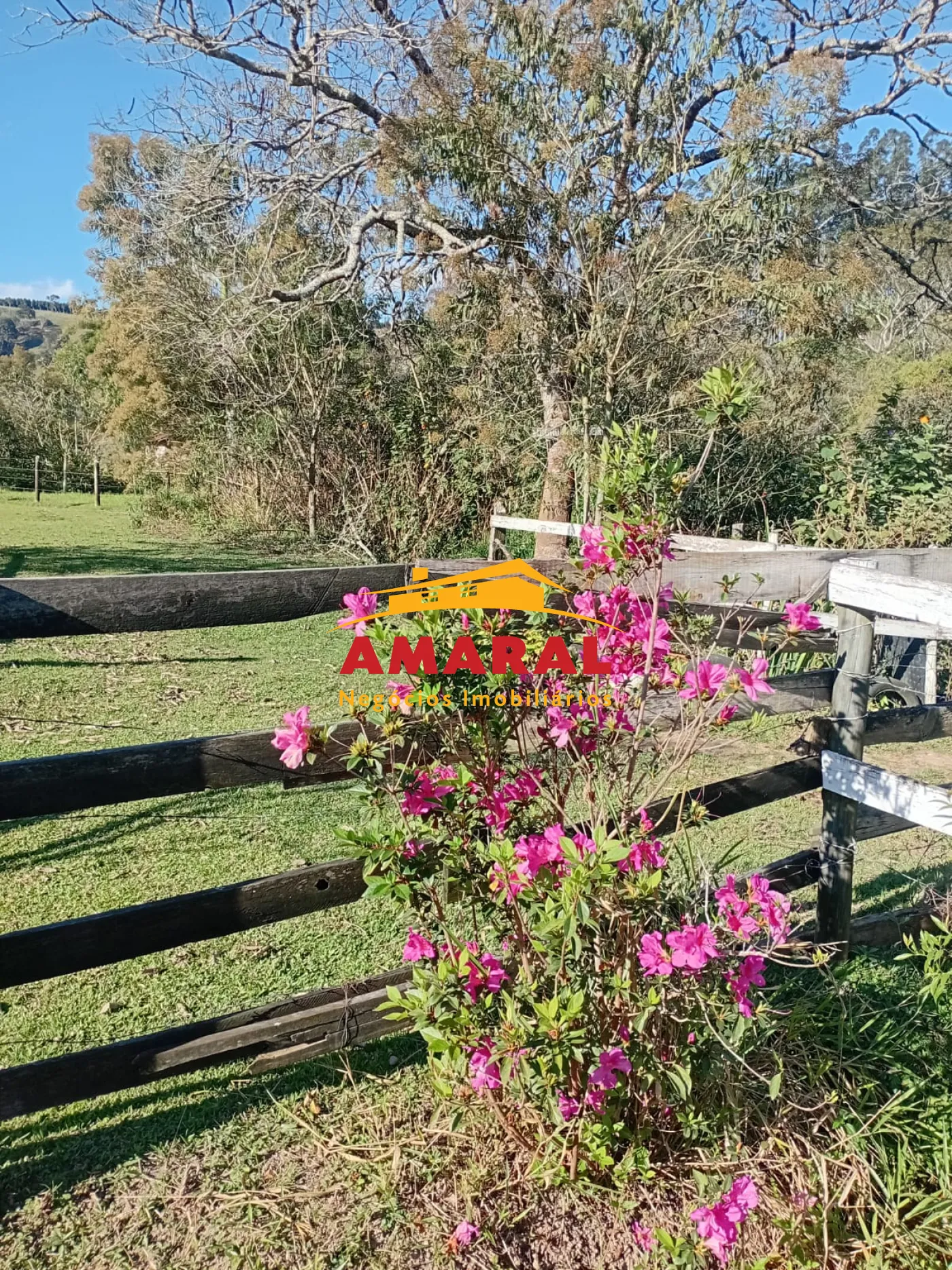 Comprar Rurais / Ch&aacute;cara em Santa Branca R$ 750.000,00 - Foto 29