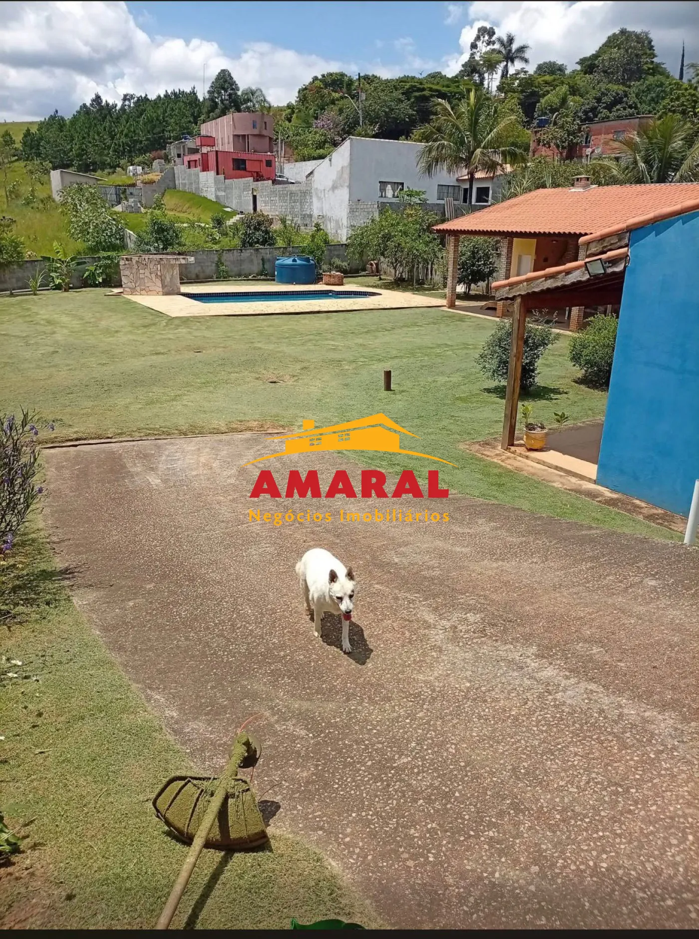 Comprar Rurais / Ch&aacute;cara em Santa Branca R$ 750.000,00 - Foto 19