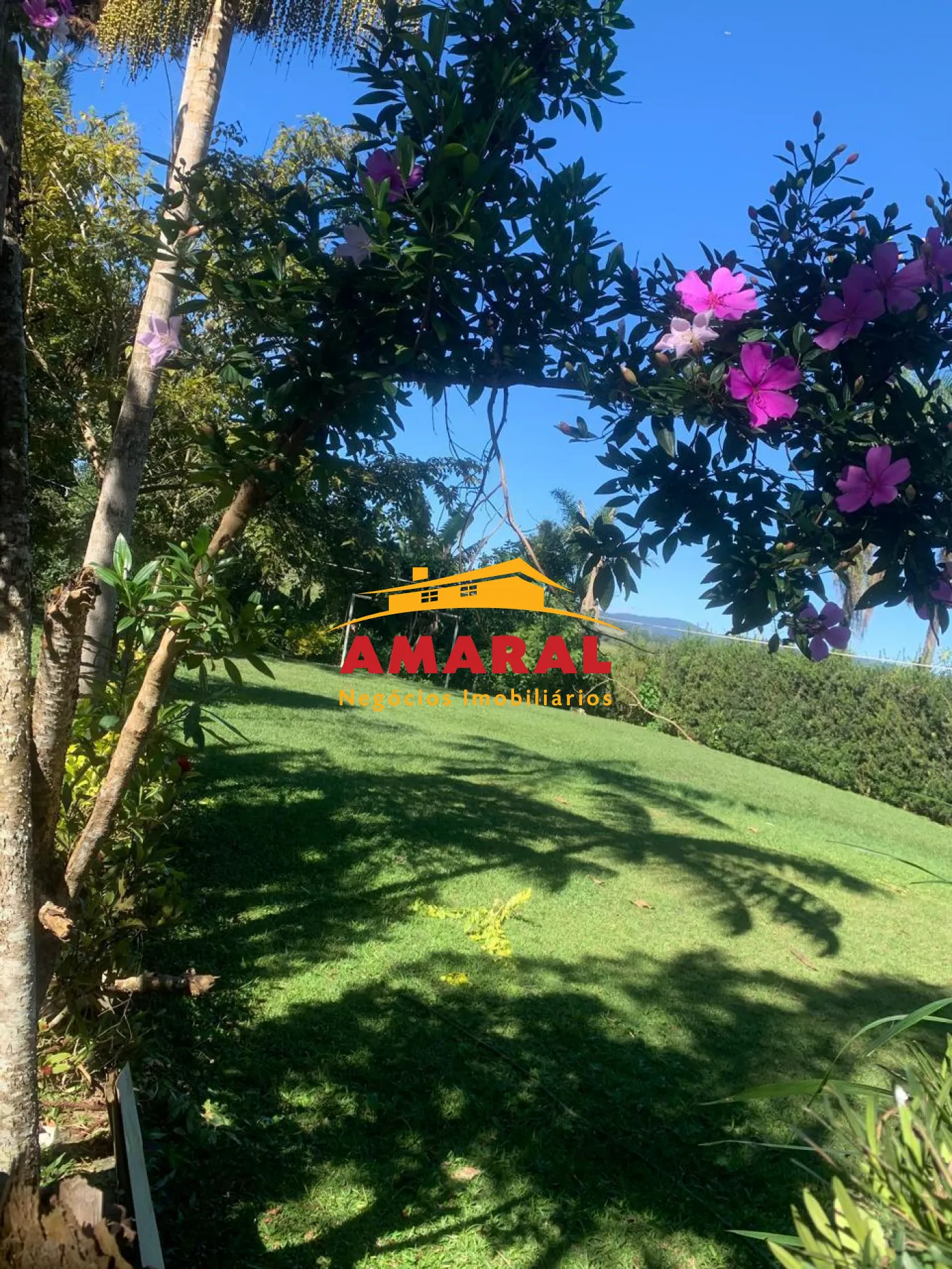 Comprar Rurais / Ch&aacute;cara em Suzano R$ 1.380.000,00 - Foto 22