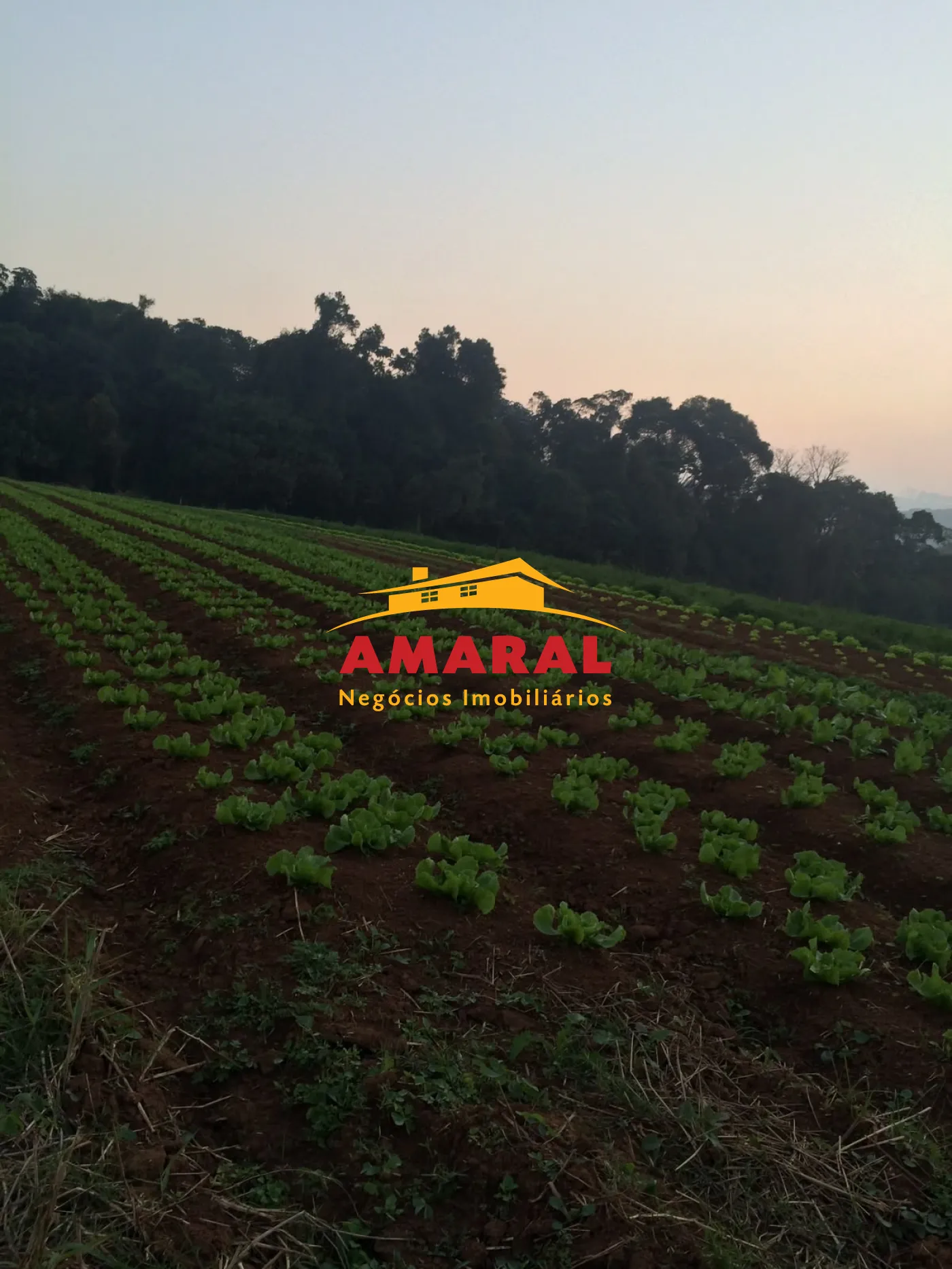 Alugar Rurais / S&iacute;tio em Suzano R$ 8.000,00 - Foto 2