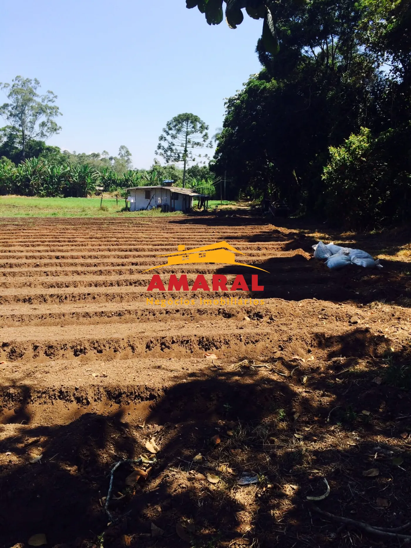 Alugar Rurais / S&iacute;tio em Suzano R$ 8.000,00 - Foto 3