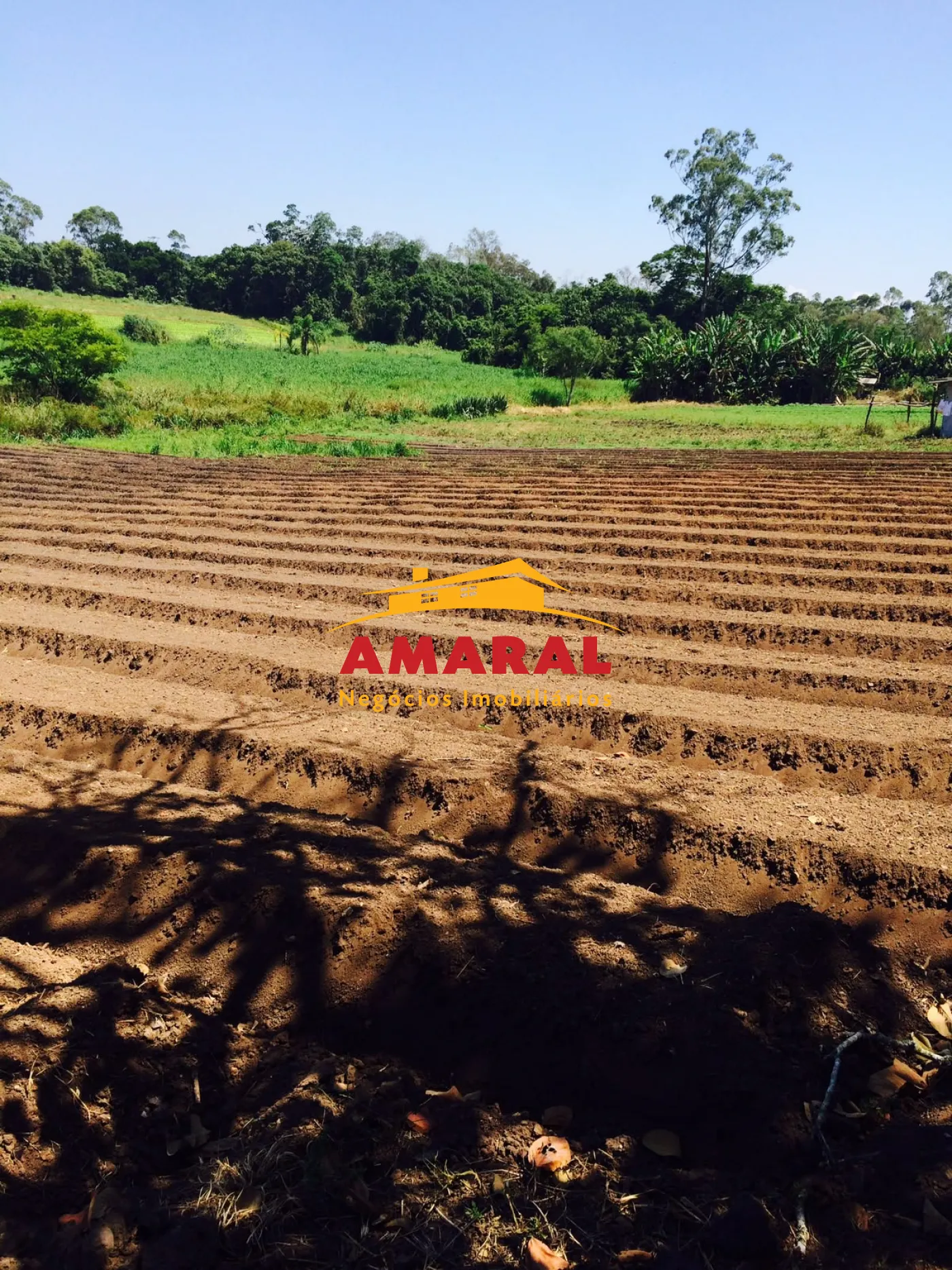 Alugar Rurais / S&iacute;tio em Suzano R$ 8.000,00 - Foto 6