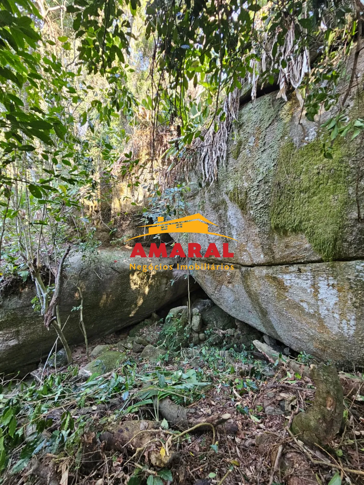 Comprar Rurais / Ch&aacute;cara em Mogi das Cruzes R$ 1.800.000,00 - Foto 2