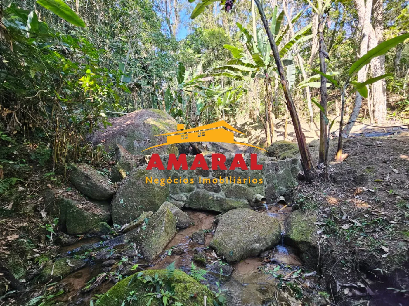 Comprar Rurais / Ch&aacute;cara em Mogi das Cruzes R$ 1.800.000,00 - Foto 16