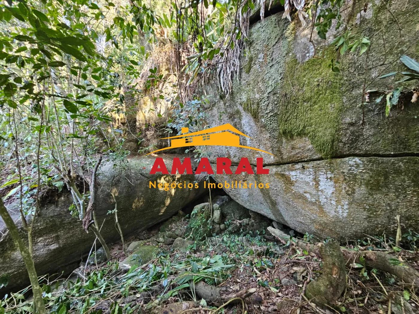 Comprar Rurais / Ch&aacute;cara em Mogi das Cruzes R$ 1.800.000,00 - Foto 22