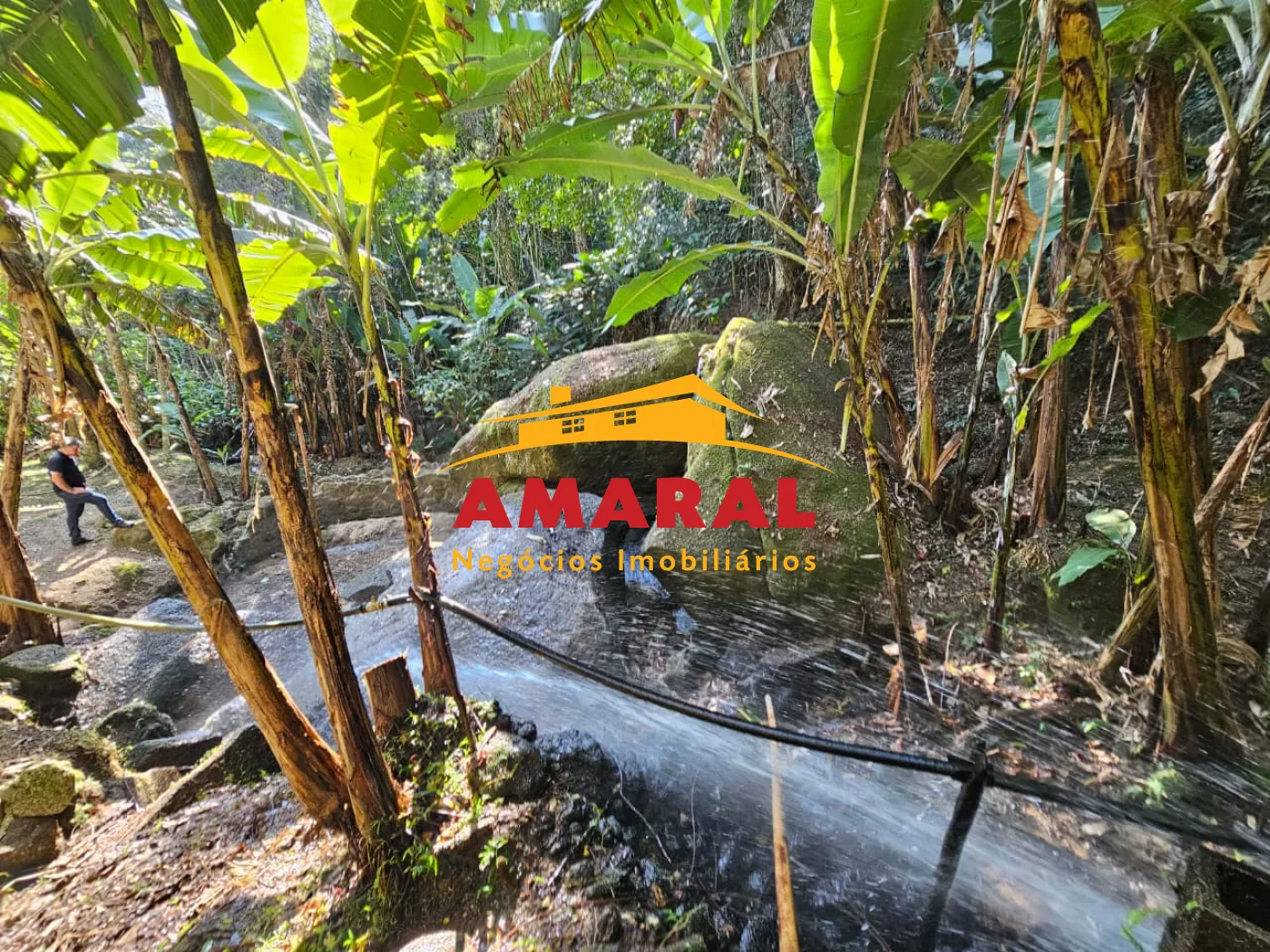 Comprar Rurais / Ch&aacute;cara em Mogi das Cruzes R$ 1.800.000,00 - Foto 33