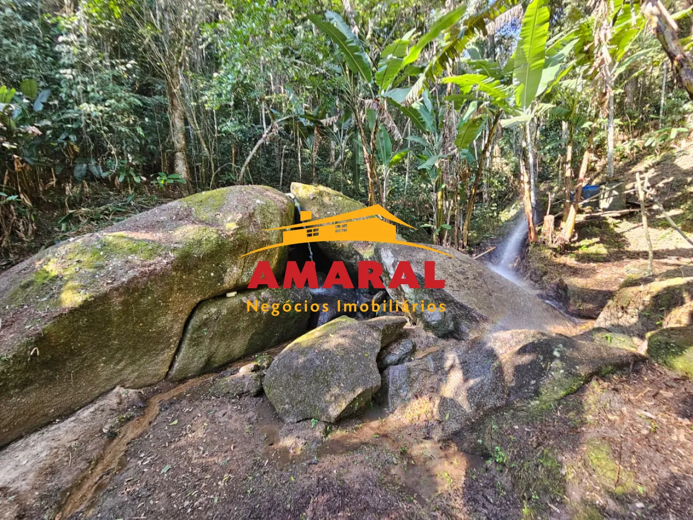 Comprar Rurais / Ch&aacute;cara em Mogi das Cruzes R$ 1.800.000,00 - Foto 41