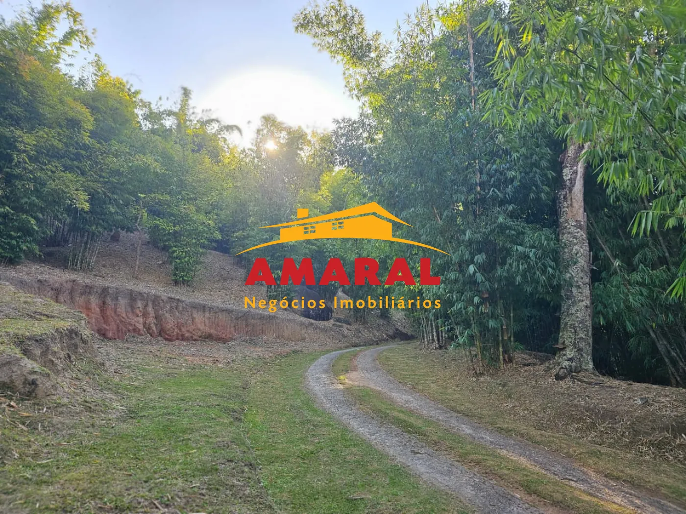 Comprar Rurais / Ch&aacute;cara em Mogi das Cruzes R$ 1.800.000,00 - Foto 42