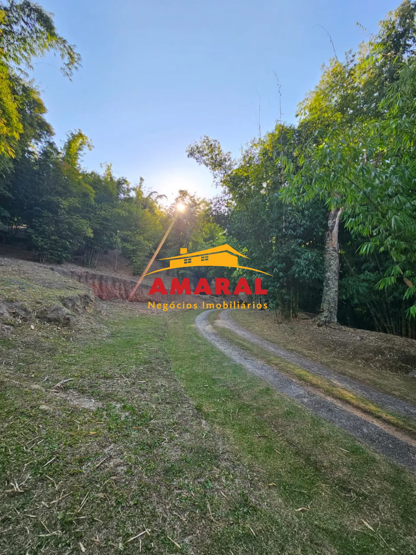 Comprar Rurais / Ch&aacute;cara em Mogi das Cruzes R$ 1.800.000,00 - Foto 43